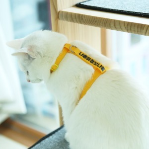 커스텀 메세지 고양이 하네스 5컬러 리드줄 옵션 고양이용 가슴줄 전용 몸줄 목줄